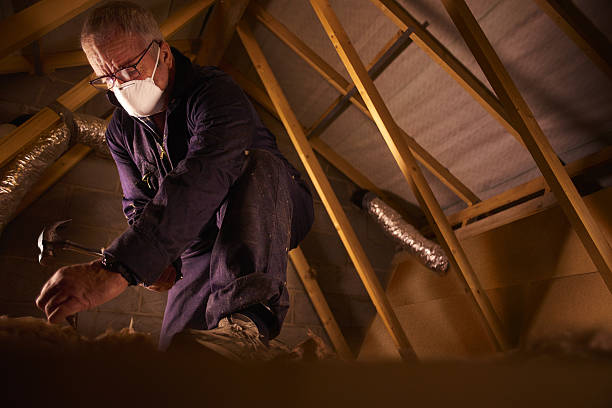 Best Insulation Installation Services in Pleasant Valley, MO